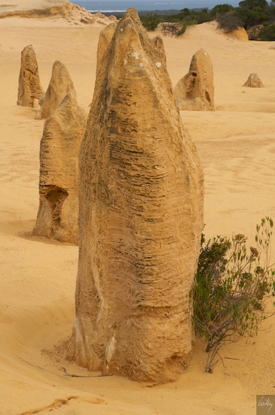 AustraliaPerth 10  097